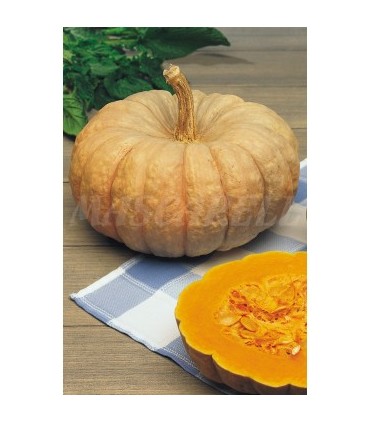 calabaza dulce de horno totanera 15 gr