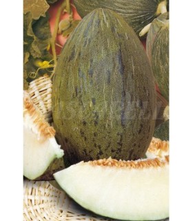 m 91108 melon pinonet piel de sapo 25 gr