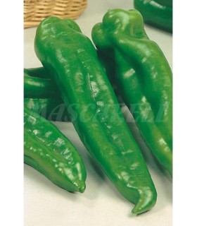 m 51136 pimiento dulce italiano 1 gr