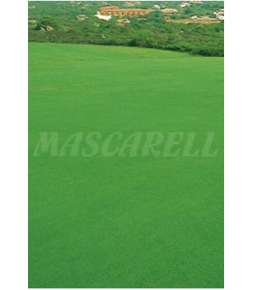 cesped litoral formula sahara 1 kg