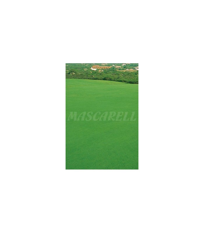 cesped litoral formula sahara 1 kg