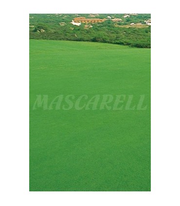 cesped litoral formula sahara 1 kg