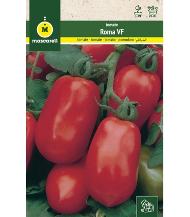 m 91172 tomate roma vf pera 075 gr