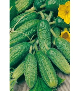 m 51121 pepinillo cornichon paris 3 gr