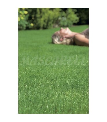 cesped super rustic elite 1 kg