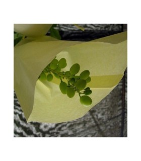 bolsa papel uva n3 395x26 cm