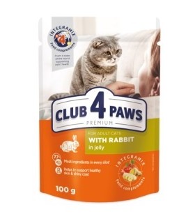 4paws premium humedo gato 80 conejo gelatina 100 gr