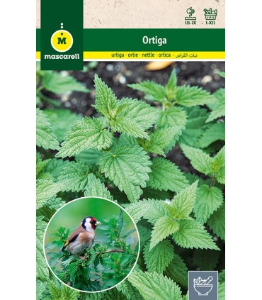 ortiga sobre 04 gr