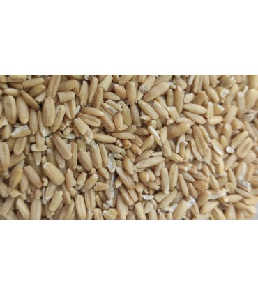 avena pelada bolsa 1 kg