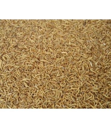 gusano harina tenebrio deshidratado bolsa 5 kg 4258