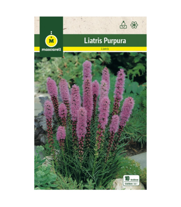 m 81128001 liatris spicatapurpura 10 ud calibre 12
