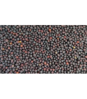 nabina 25 kg