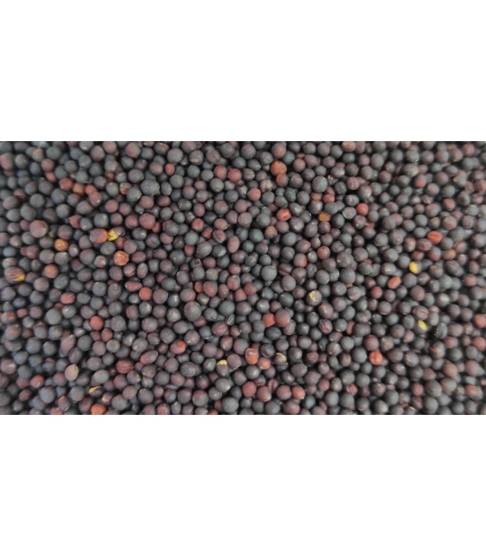 nabina 25 kg
