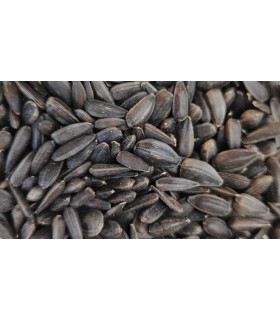 pipas negras 25 kg