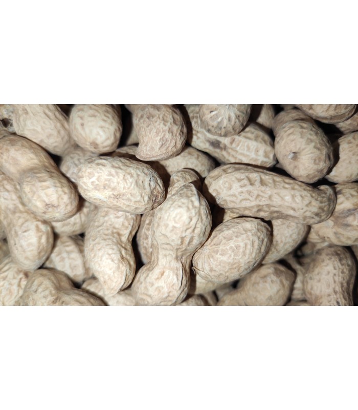 cacahuetes saco 30 kg
