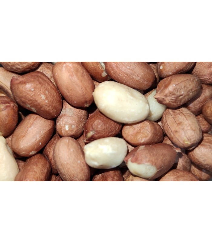 cacahuetes pelados bolsa 5 kg