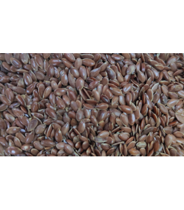 linaza marron 25 kg