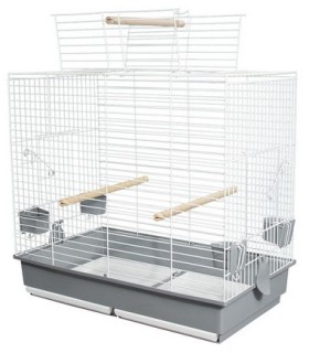 jaula loro v 851 abierta