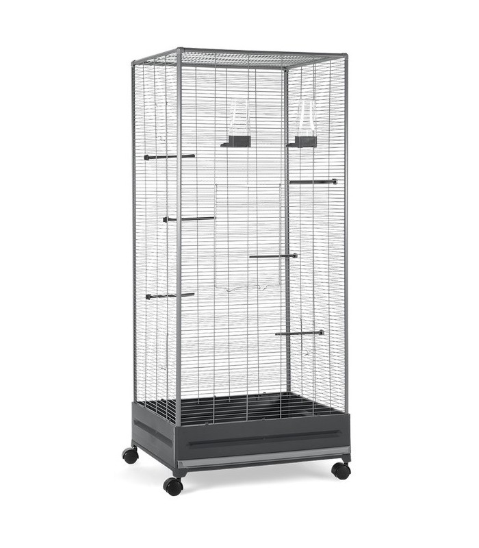 pajarera economic v 420 stej 655x54x15