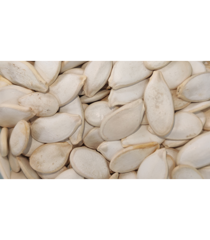 pipas calabaza 25 kg