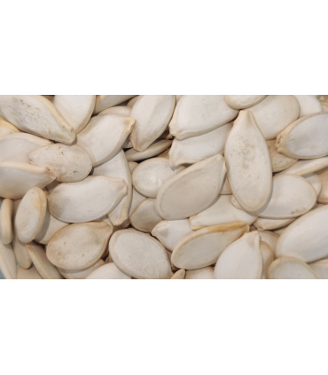 pipas calabaza 25 kg