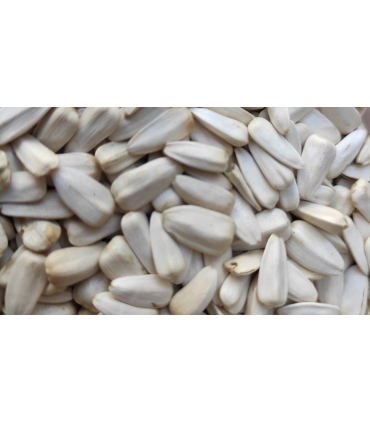 pipas blancas albinas 1 kg