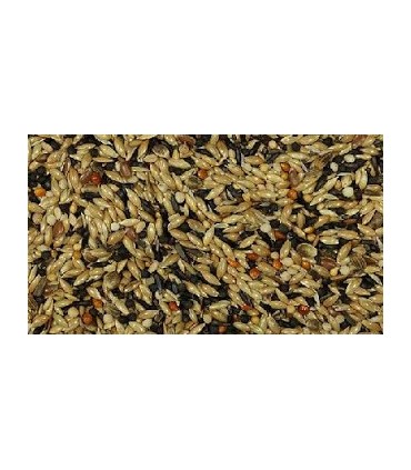 jilgueros vinci 20 kg