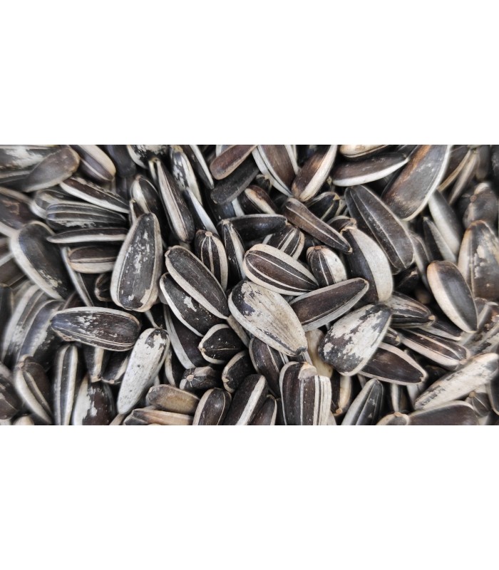 pipas hungaras iregui bolsa 600 gr