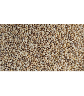 paniset 25 kg