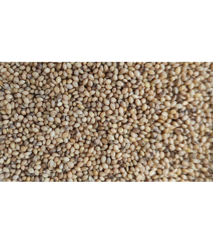 paniset 25 kg