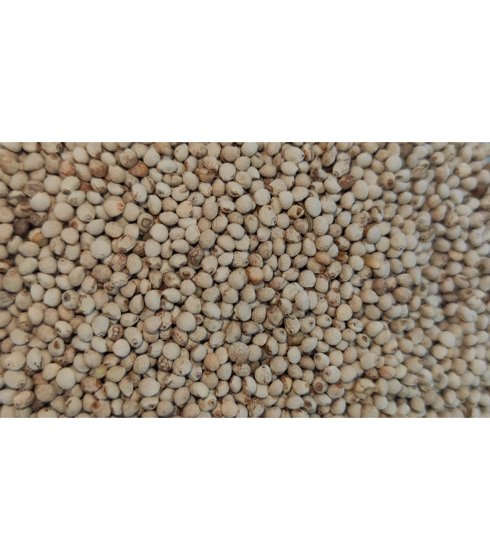 perilla blanca 18 kg