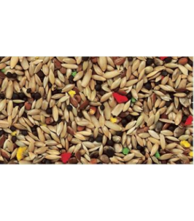 peguer mixcanarios normal con avena bolsa 4 kg