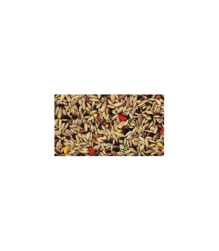 peguer mixcanarios normal con avena bolsa 4 kg
