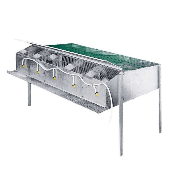 70873jaula perdices 5 parejas cop