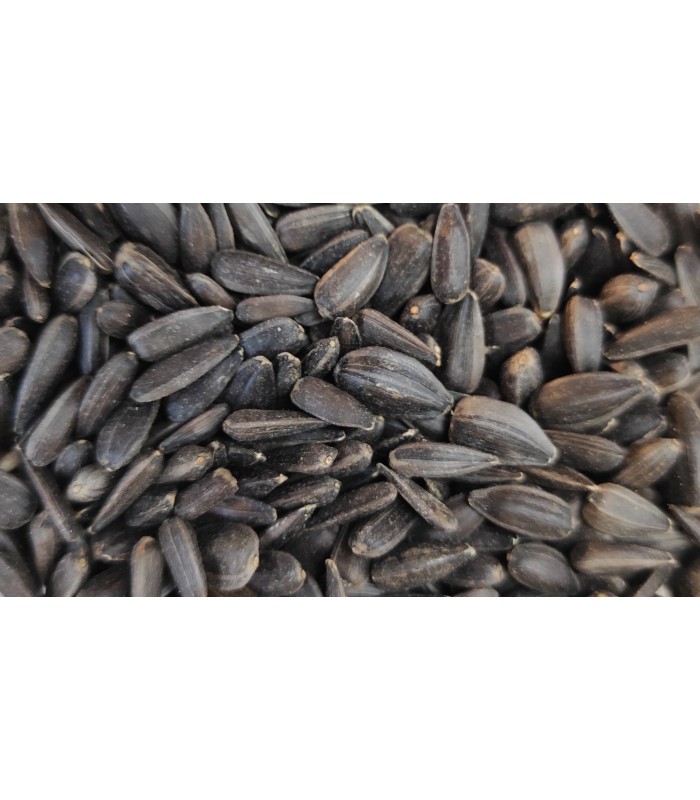pipas negras bolsa 4 kg