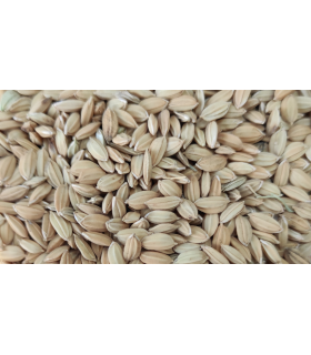 arroz cascara 25 kg