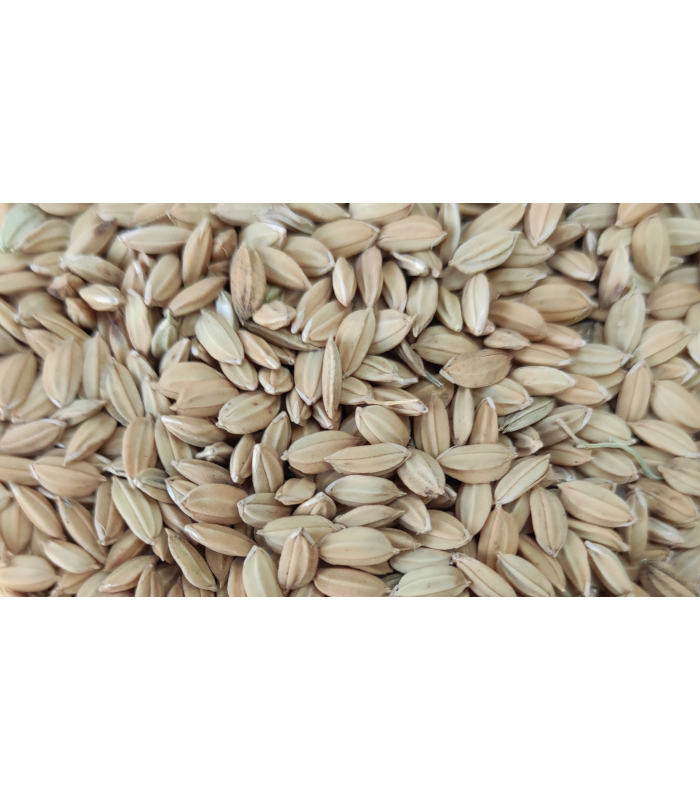 arroz cascara 25 kg