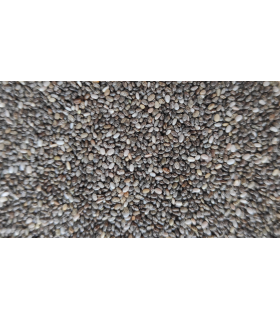 bote chia 900 gr