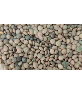 lenteja saco 25 kg