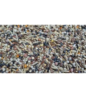 peguer semilla la salud bolsa 5 kg