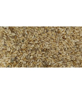 linaza dorada 1 kg