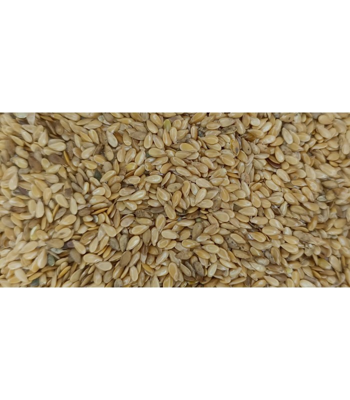 linaza dorada 1 kg