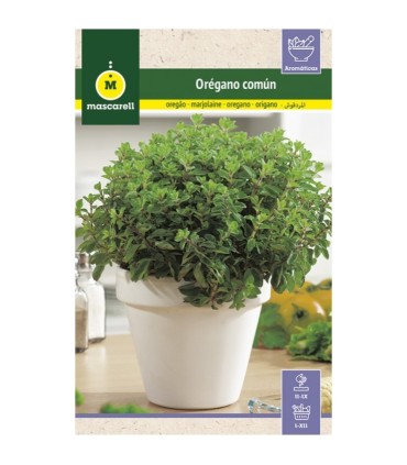 oregano 01 gr