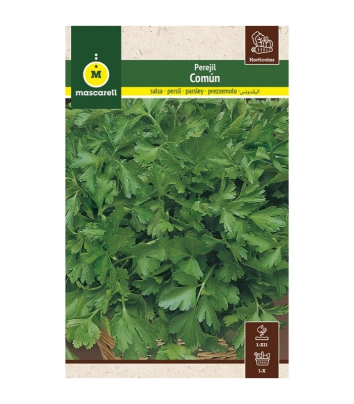 m 91133 perejil comun 5 gr