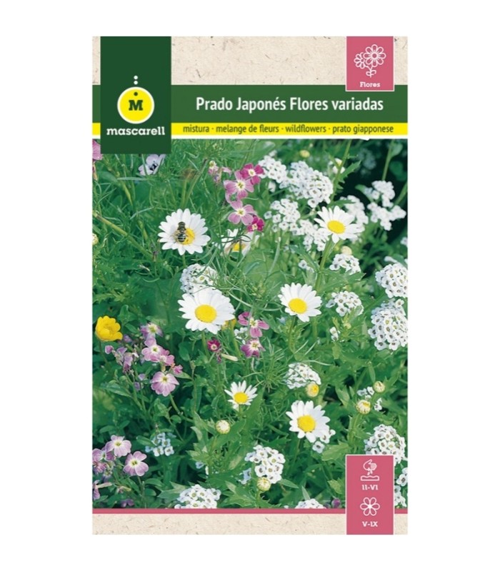 prado japones 3 gr
