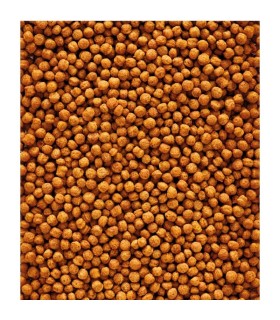 nutribird f 16 800 gr