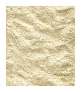 pasta nutribird a 19 polluelos 3 kg