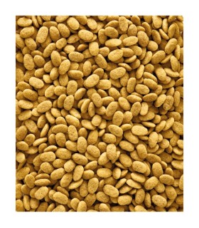 nutribird p 15 original mantenimiento 1 kg