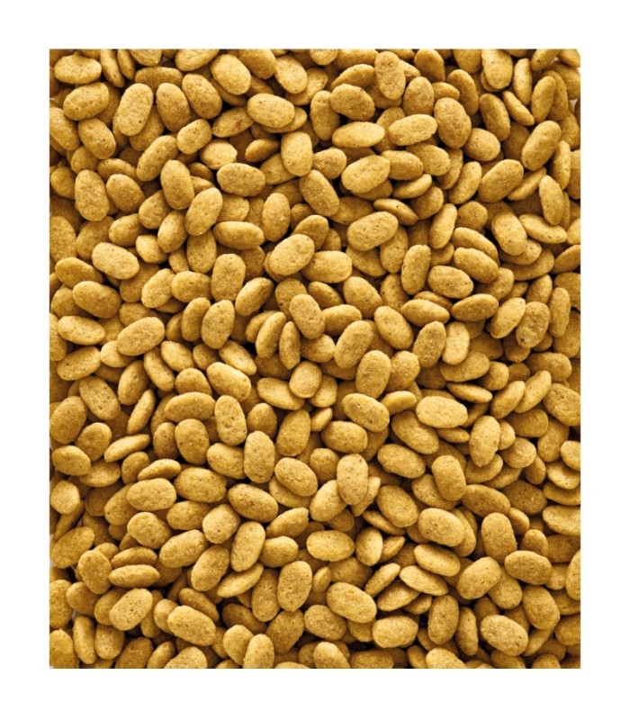 nutribird p 15 original mantenimiento 1 kg