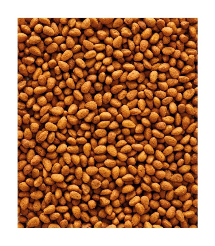 nutribird g 14 original mant 1 kg